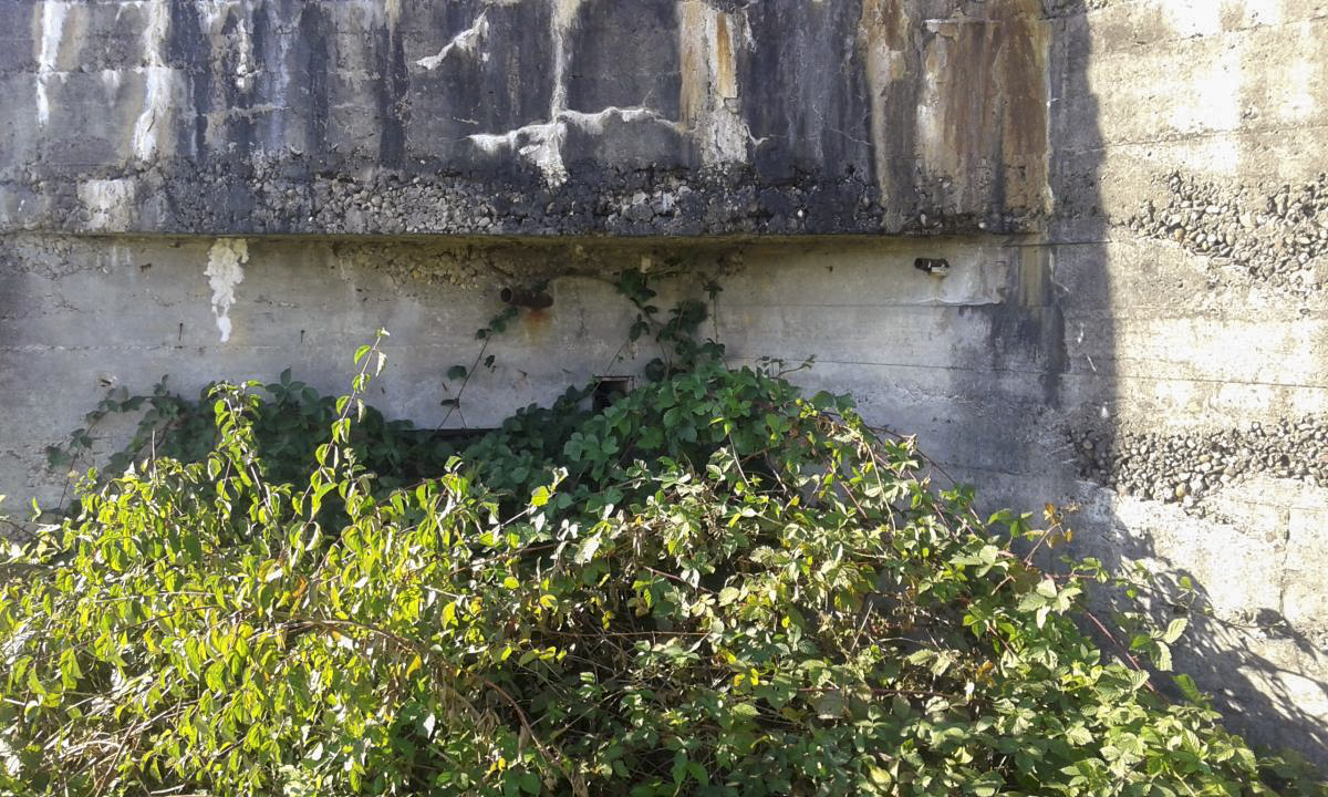 Ligne Maginot - CEZF-1 - FERME SAINT JEAN - (Casemate d'infanterie - Double) -  - Titi57