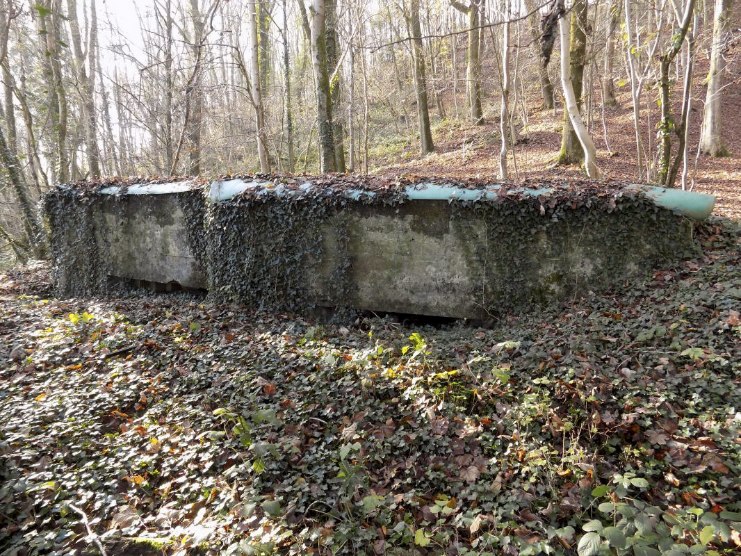 Ligne Maginot - BB72-B - LES HAUTS-PRES - (Blockhaus pour arme infanterie) -  - R Tucker