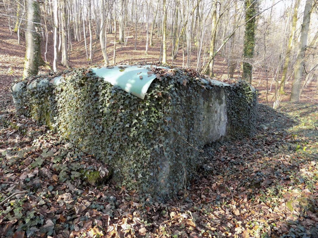 Ligne Maginot - BB72-B - LES HAUTS-PRES - (Blockhaus pour arme infanterie) -  - R Tucker