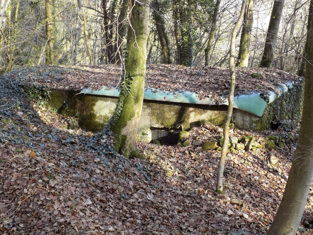 Ligne Maginot - BB72-B - LES HAUTS-PRES - (Blockhaus pour arme infanterie) -  - R Tucker