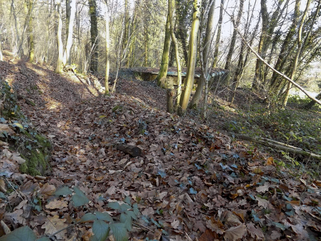 Ligne Maginot - BB72-B - LES HAUTS-PRES - (Blockhaus pour arme infanterie) - Vestige des tranchées vers l'entrée - R Tucker