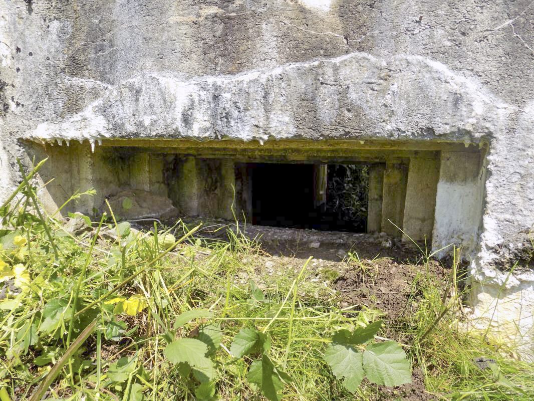 Ligne Maginot - BB72-C - LA COUPE DE LA PRE - (Blockhaus pour canon) - Créneau AC - R Tucker