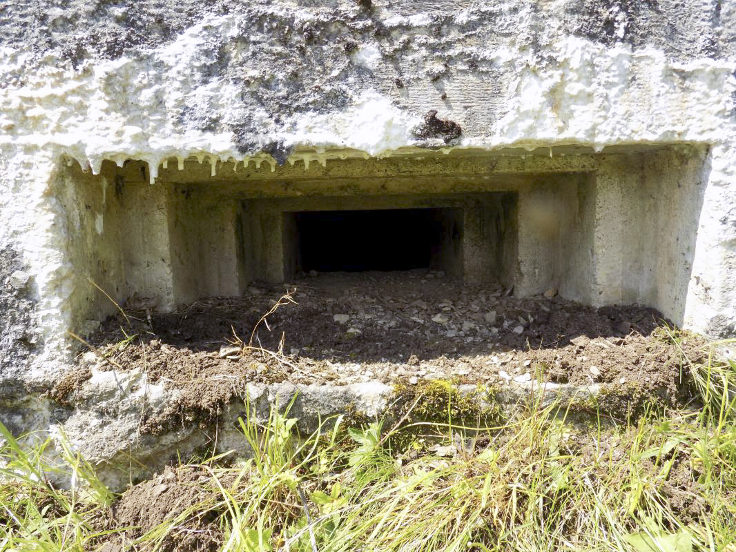 Ligne Maginot - BB72-C - LA COUPE DE LA PRE - (Blockhaus pour canon) - Créneau FM/Obs - R Tucker