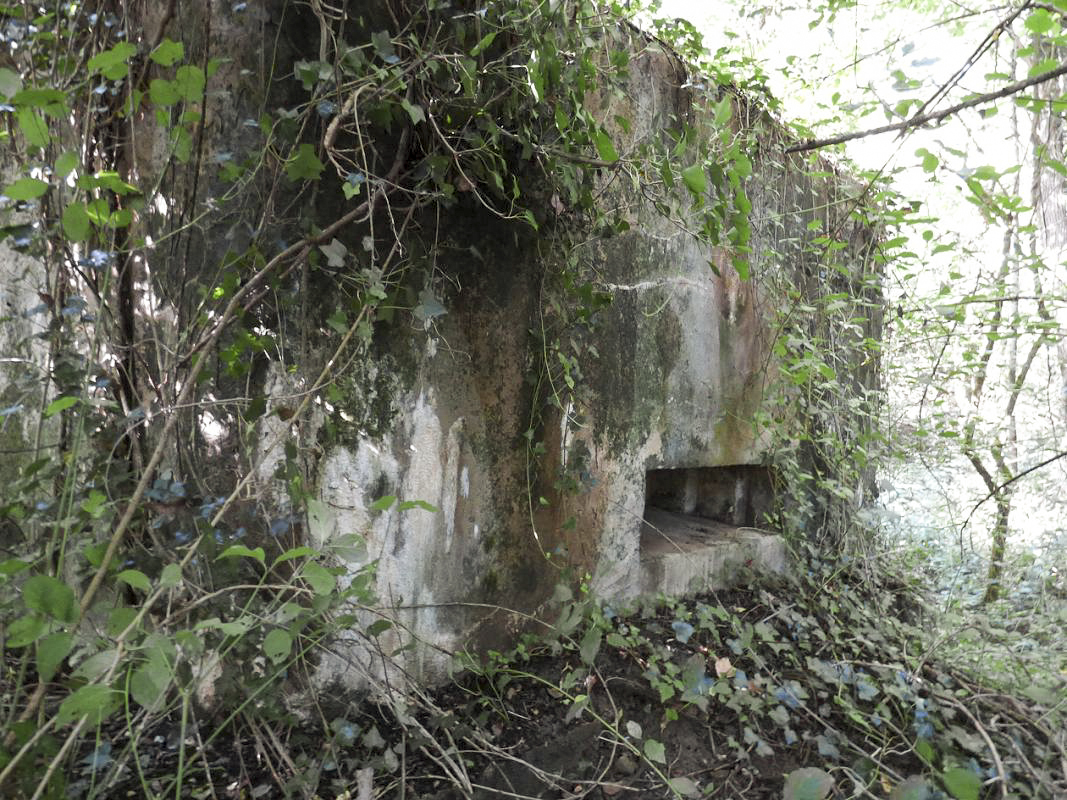 Ligne Maginot - BB74-B - LA SARTE SUD - (Blockhaus pour arme infanterie) -  - JMBrams