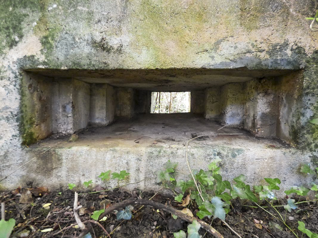Ligne Maginot - BB74-B - LA SARTE SUD - (Blockhaus pour arme infanterie) -  - JMBrams