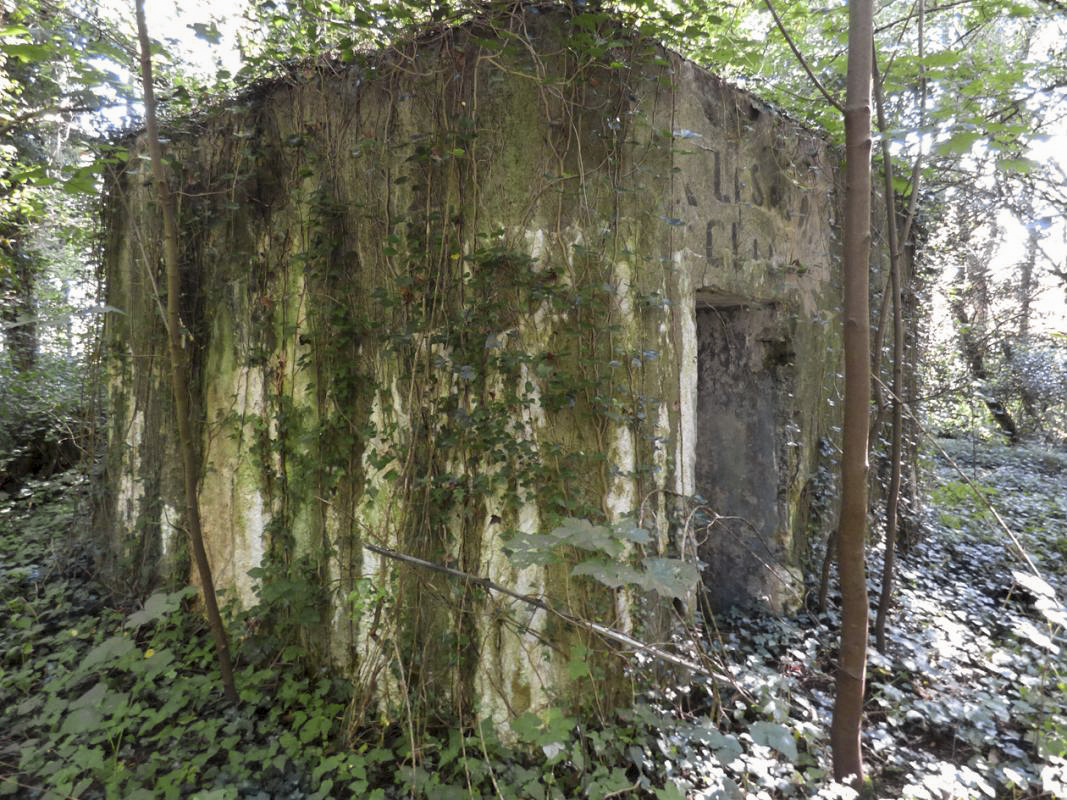 Ligne Maginot - BB74-B - LA SARTE SUD - (Blockhaus pour arme infanterie) -  - JMBrams