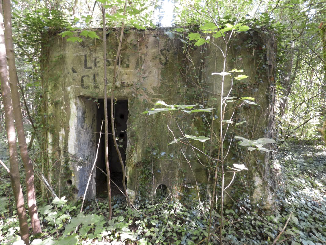 Ligne Maginot - BB74-B - LA SARTE SUD - (Blockhaus pour arme infanterie) -  - JMBrams