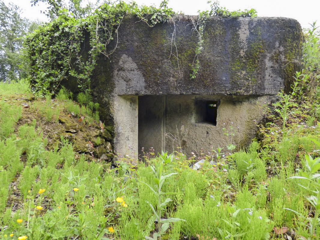 Ligne Maginot - BB74-C - BERTHAUCOURT NORD - (Observatoire d'infanterie) -  - JMBrams