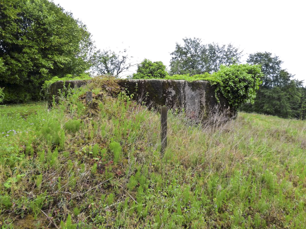Ligne Maginot - BB74-C - BERTHAUCOURT NORD - (Observatoire d'infanterie) -  - JMBrams