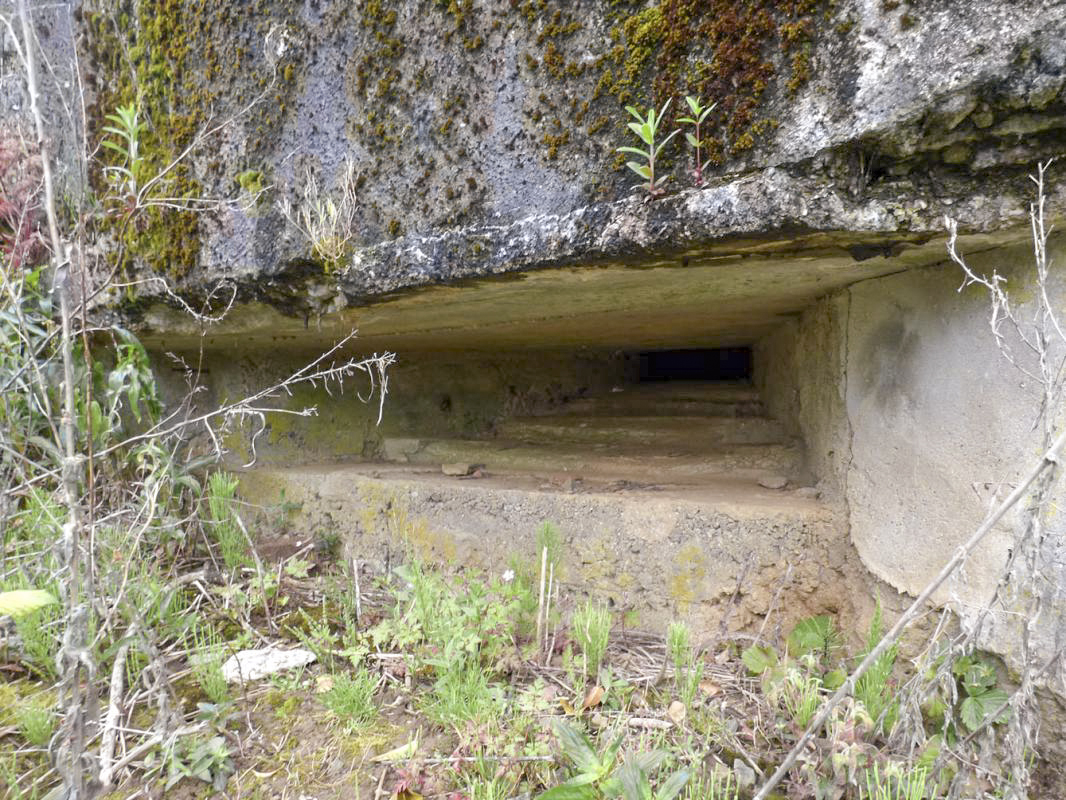 Ligne Maginot - BB74-C - BERTHAUCOURT NORD - (Observatoire d'infanterie) -  - JMBrams