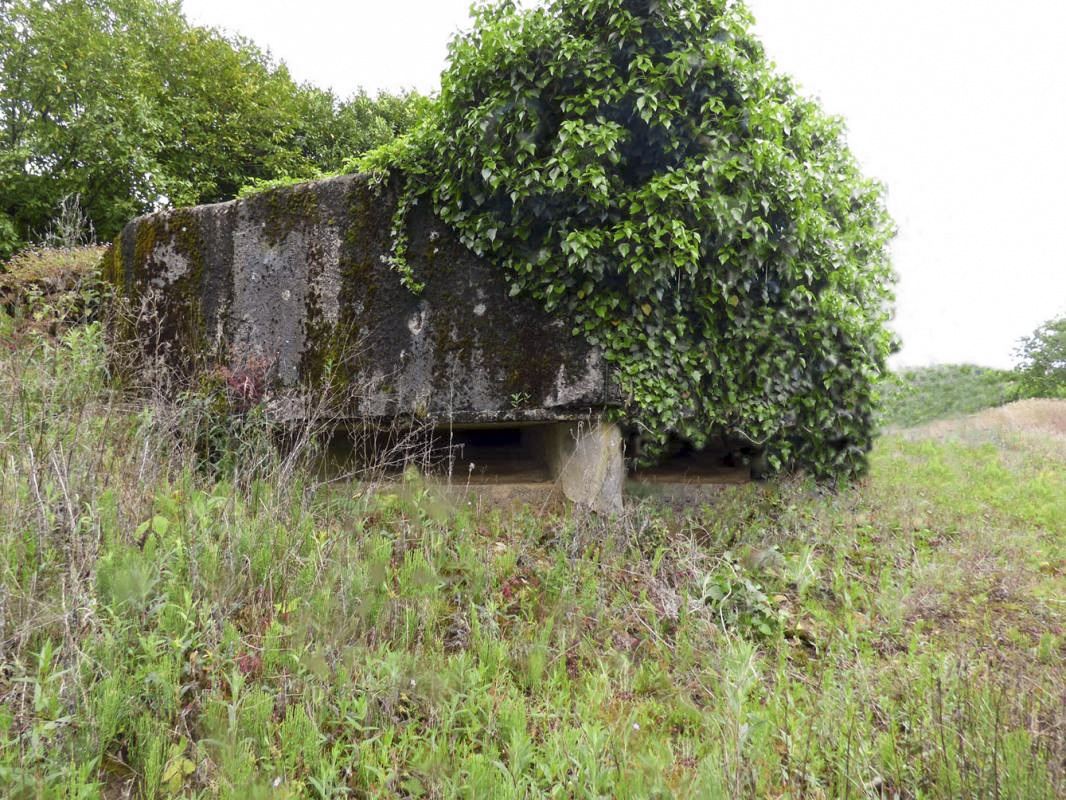 Ligne Maginot - BB74-C - BERTHAUCOURT NORD - (Observatoire d'infanterie) -  - JMBrams
