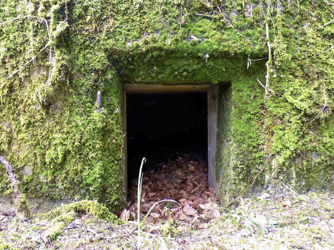Ligne Maginot - BB75 - BERTHAUCOURT SUD - (Blockhaus pour arme infanterie) -  - JMBrams