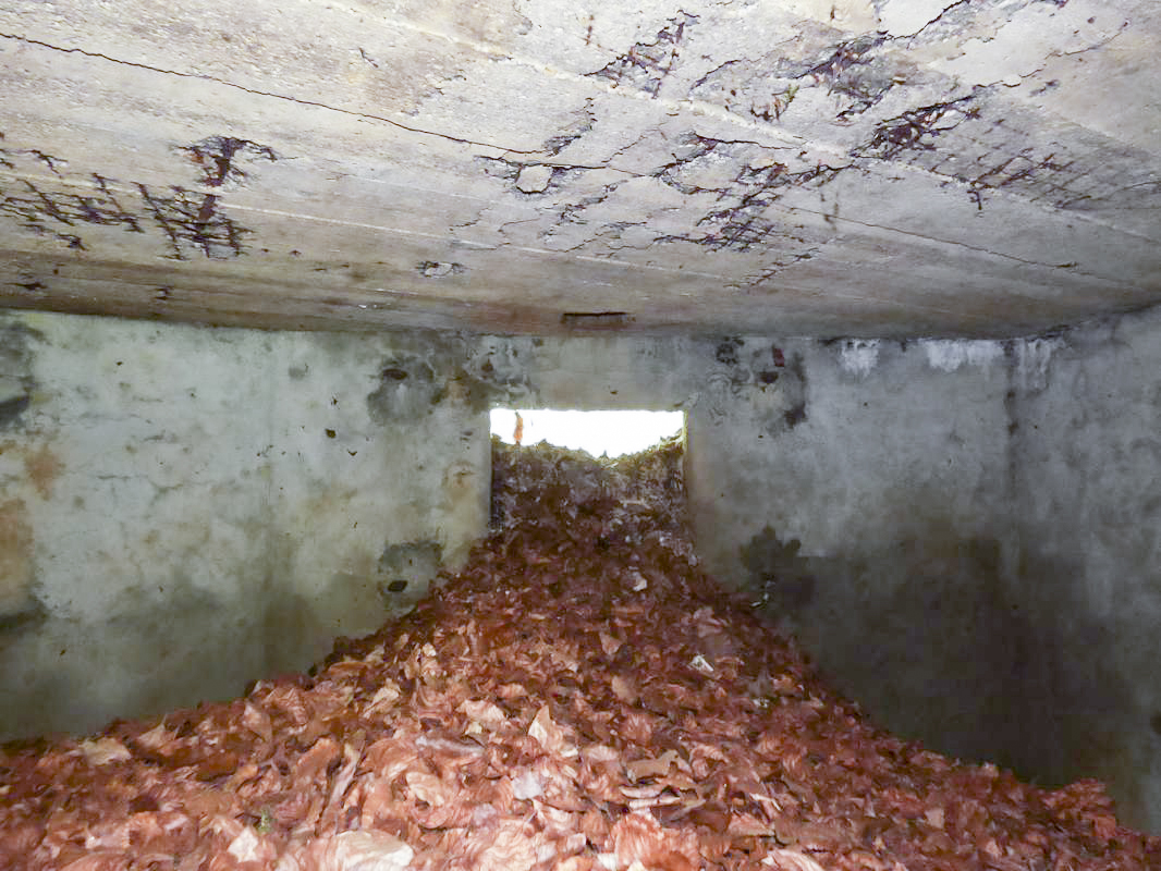 Ligne Maginot - BB75 - BERTHAUCOURT SUD - (Blockhaus pour arme infanterie) -  - JMBrams