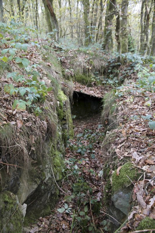 Ligne Maginot - TD20BIS - (Cuve pour arme d'infanterie) - Le réseau mène à un très petit abri  - Alain Perouffe