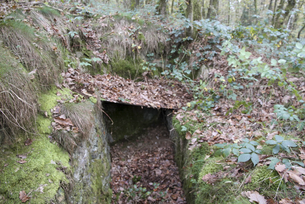 Ligne Maginot - TD20BIS - (Cuve pour arme d'infanterie) - Le réseau mène à un très petit abri  - Alain Perouffe