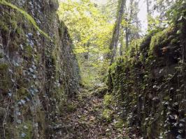 Ligne Maginot - 28A - RIMONNEAU - (Blockhaus pour canon) - Vue de l'accès de l'entrée AC