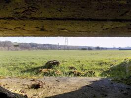 Ligne Maginot - BB77-B - LES HACHES EST - (Blockhaus pour canon) - Vue créneau droite
