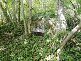 Ligne Maginot - STEINBESCH SUD - (Blockhaus pour canon) - 