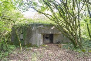 Ligne Maginot - 129 - L'EPINETTE - (Blockhaus pour canon) - 