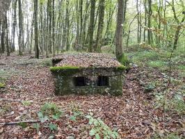 Ligne Maginot - BB43-D - (Blockhaus pour arme infanterie) - 2016