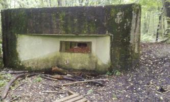 Ligne Maginot - M101B - BOIS DE GUESSLING - (Blockhaus pour arme infanterie) - 