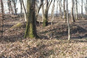 Ligne Maginot - UBERNIED - (Abri) - Environnement
Creusement du terrain
Il est possible qu'il s'agit d'une cuve pour mortier de 81 du 3° groupe de 81mm Pechelet