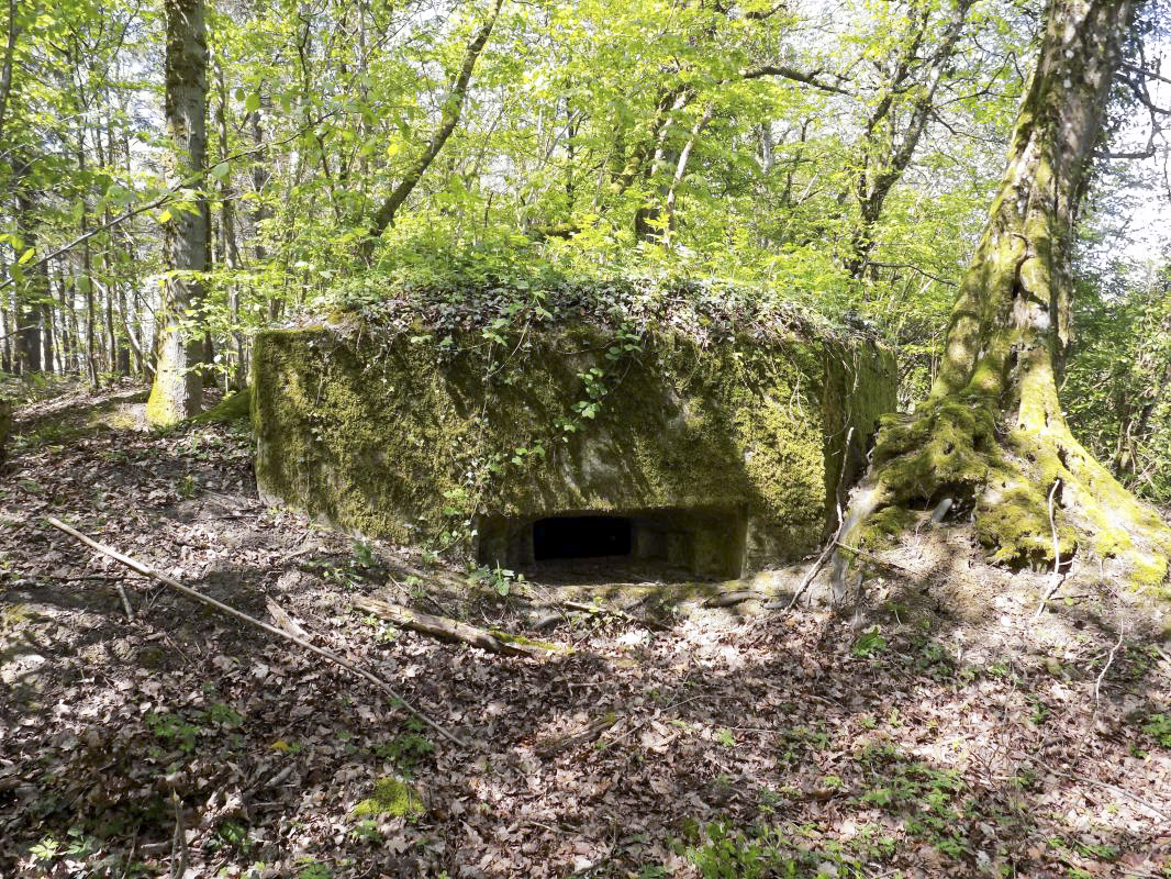 Ligne Maginot - 23A - ELAIRE SUD - (Blockhaus pour canon) - Face droite, créneau AC - R Tucker
