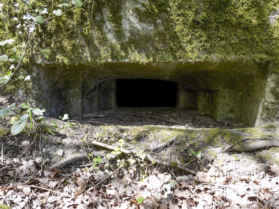 Ligne Maginot - 23A - ELAIRE SUD - (Blockhaus pour canon) - Face droite, créneau AC - R Tucker