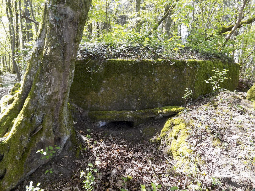 Ligne Maginot - 23A - ELAIRE SUD - (Blockhaus pour canon) - Face frontale, créneau FM - R Tucker