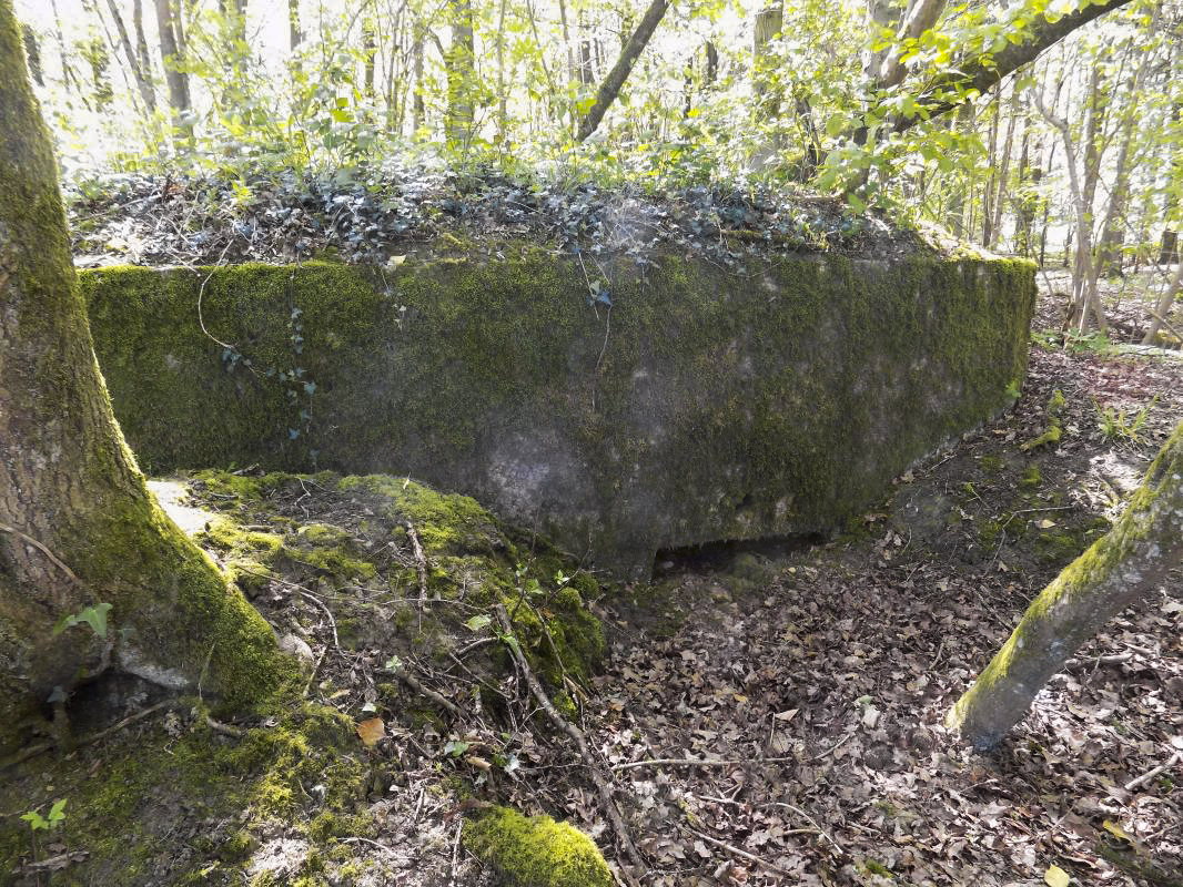 Ligne Maginot - 23A - ELAIRE SUD - (Blockhaus pour canon) - Face frontale/gauche, créneau Hotchkiss - R Tucker
