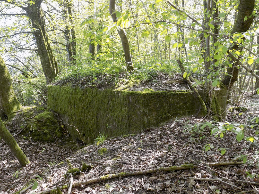 Ligne Maginot - 23A - ELAIRE SUD - (Blockhaus pour canon) - Face frontale/gauche et gauche - R Tucker