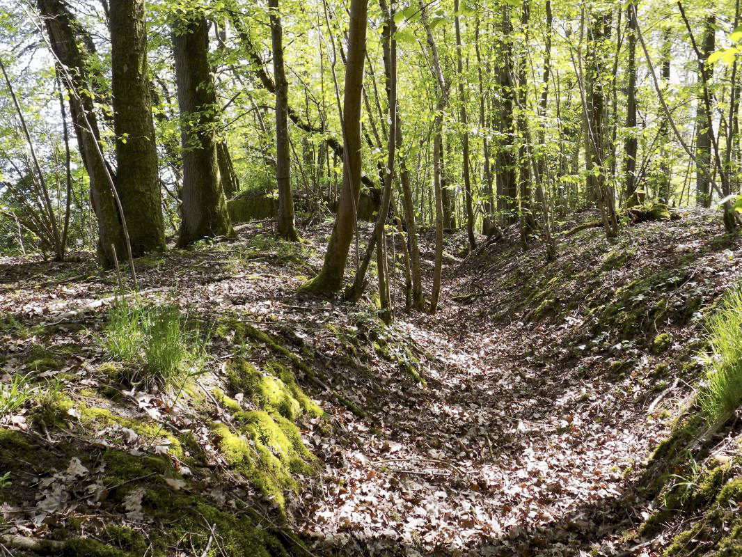 Ligne Maginot - 23A - ELAIRE SUD - (Blockhaus pour canon) - Tranchée d’accès - R Tucker