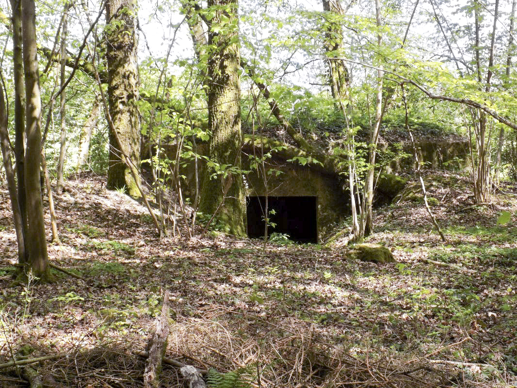 Ligne Maginot - 23A - ELAIRE SUD - (Blockhaus pour canon) - L'arrière - R Tucker