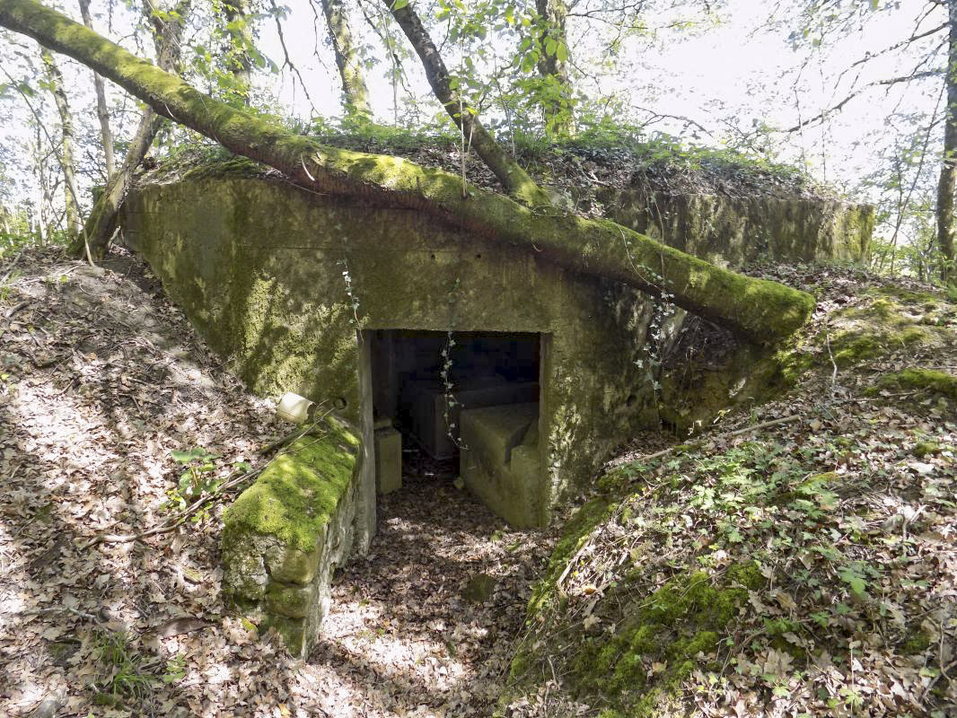 Ligne Maginot - 23A - ELAIRE SUD - (Blockhaus pour canon) - L'entrée AC - R Tucker
