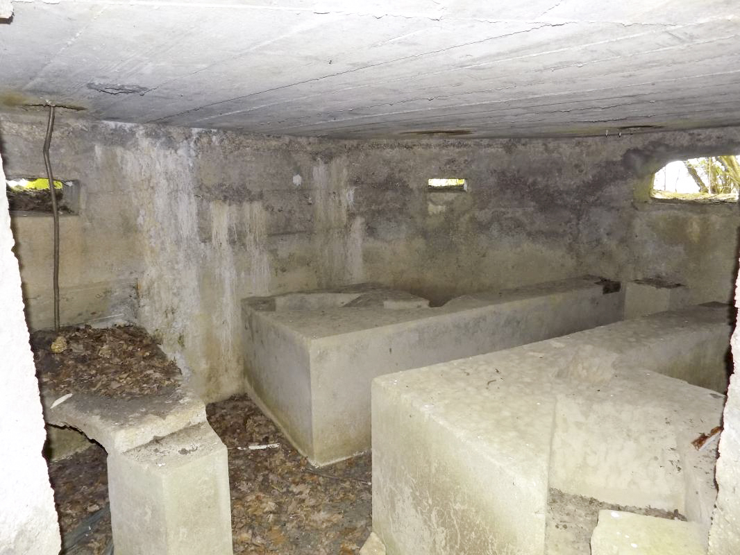Ligne Maginot - 23A - ELAIRE SUD - (Blockhaus pour canon) - Créneaux Hotchkiss, FM et AC - R Tucker