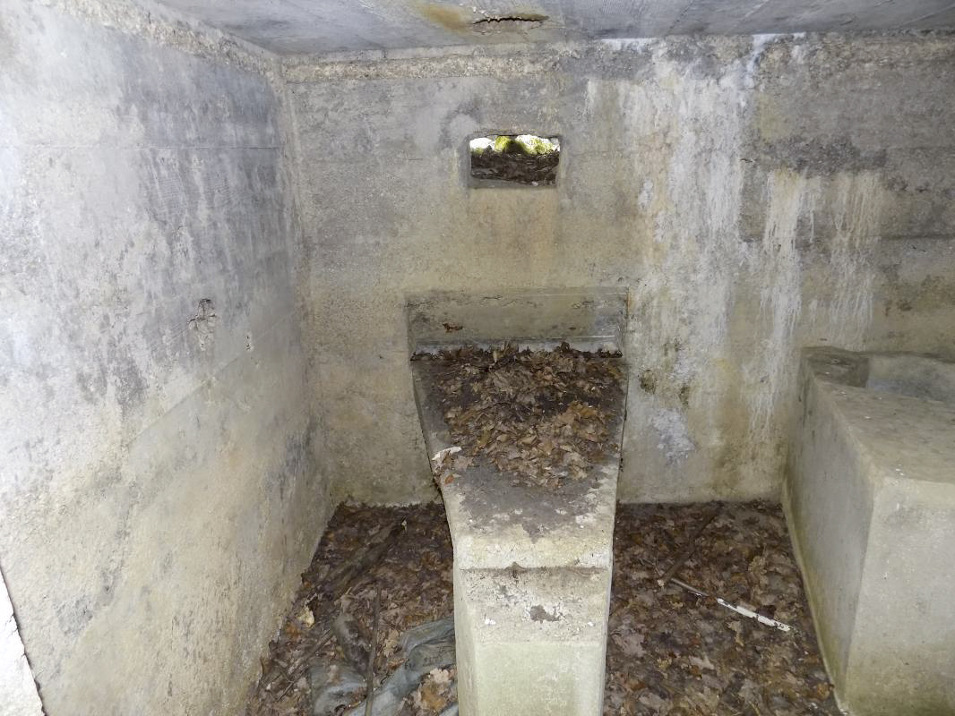 Ligne Maginot - 23A - ELAIRE SUD - (Blockhaus pour canon) - Créneau Hotchkiss - R Tucker