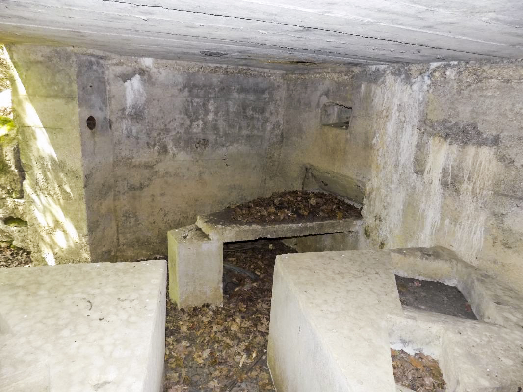 Ligne Maginot - 23A - ELAIRE SUD - (Blockhaus pour canon) - Faces gauche - R Tucker