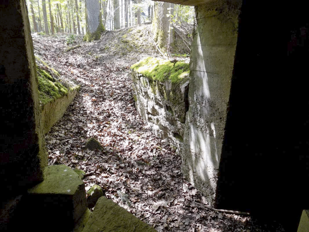 Ligne Maginot - 23A - ELAIRE SUD - (Blockhaus pour canon) - L'entrée - R Tucker