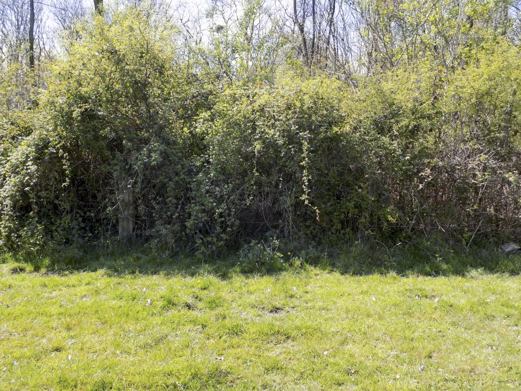 Ligne Maginot - 24A - BOIS DE FLIZE EST - (Blockhaus pour canon) - Face frontale ! - R Tucker