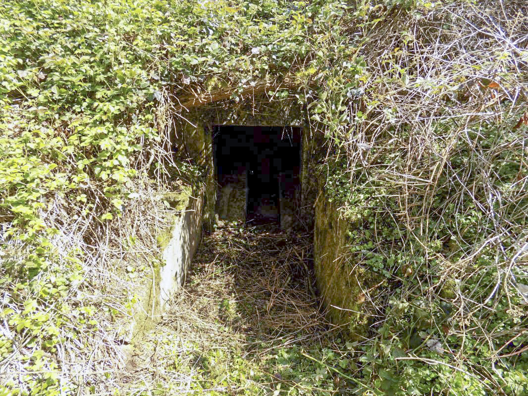 Ligne Maginot - 24A - BOIS DE FLIZE EST - (Blockhaus pour canon) - L'entrée.
Ce bloc est complètement enterré de végétation. - R Tucker