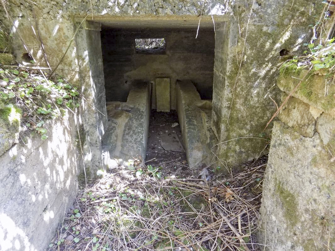 Ligne Maginot - 24A - BOIS DE FLIZE EST - (Blockhaus pour canon) - L'entrée AC - R Tucker