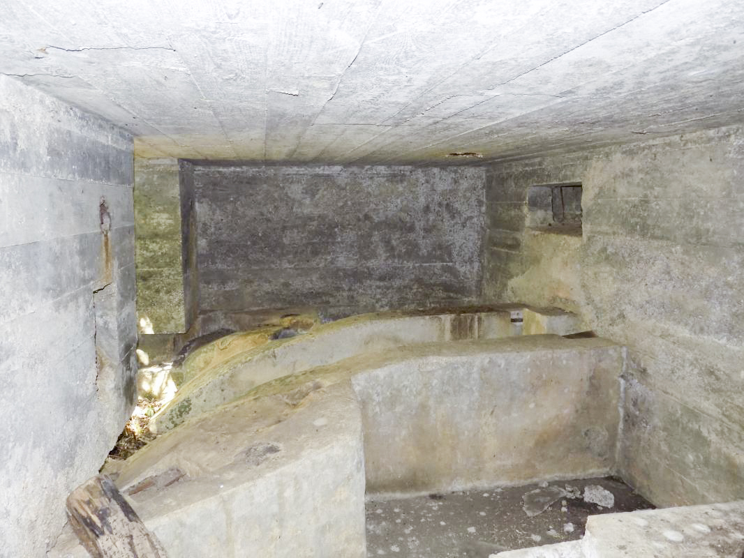 Ligne Maginot - 24A - BOIS DE FLIZE EST - (Blockhaus pour canon) - Face gauche - R Tucker