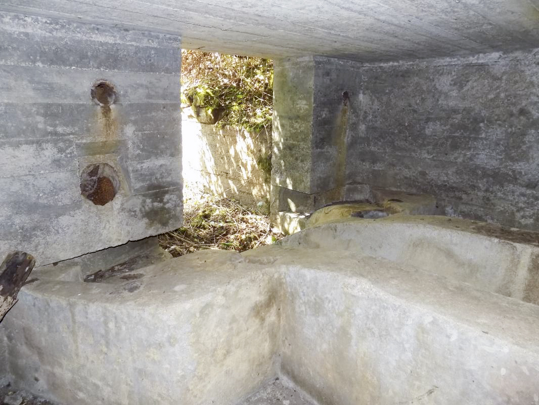 Ligne Maginot - 24A - BOIS DE FLIZE EST - (Blockhaus pour canon) - L'entrée - R Tucker