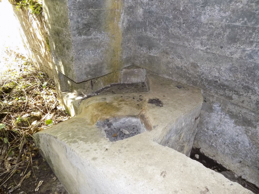 Ligne Maginot - 24A - BOIS DE FLIZE EST - (Blockhaus pour canon) - Facilité pour les deux types canon AC - R Tucker