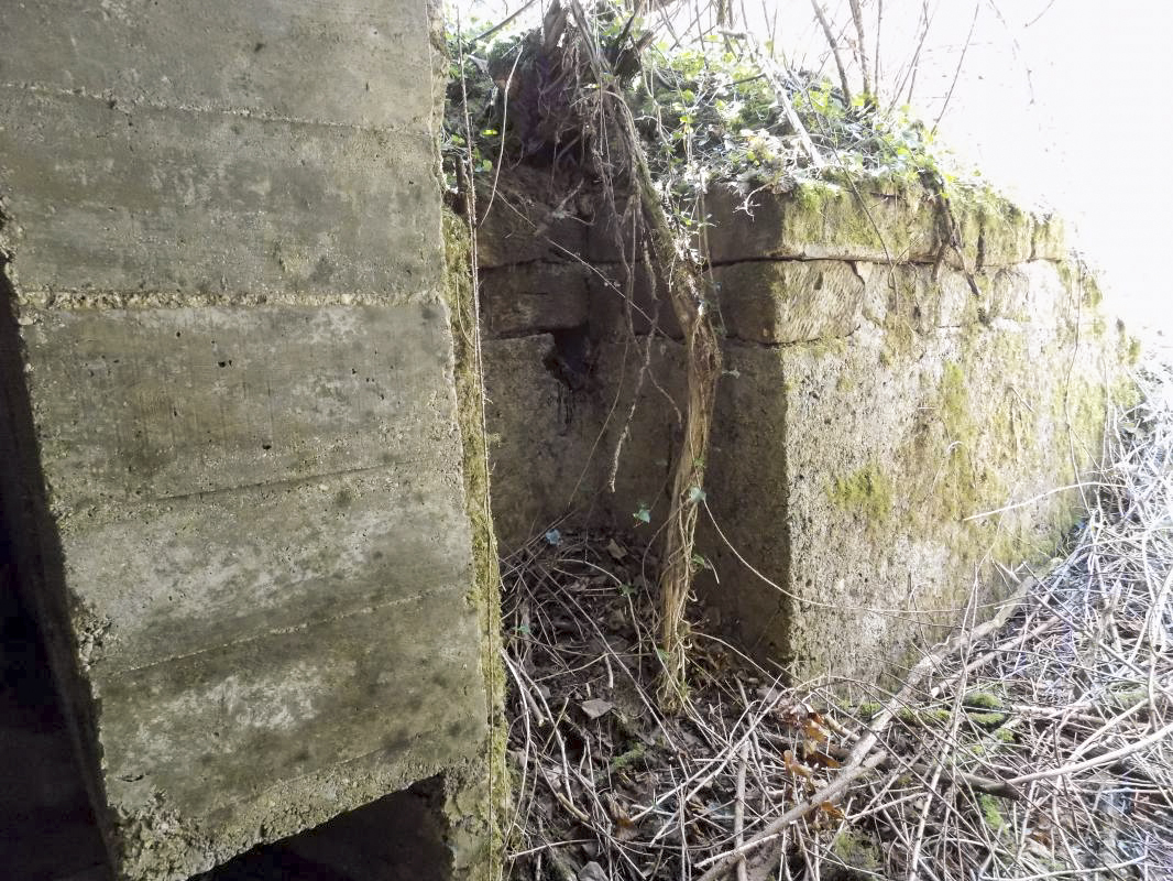 Ligne Maginot - 24A - BOIS DE FLIZE EST - (Blockhaus pour canon) - L'entrée - R Tucker
