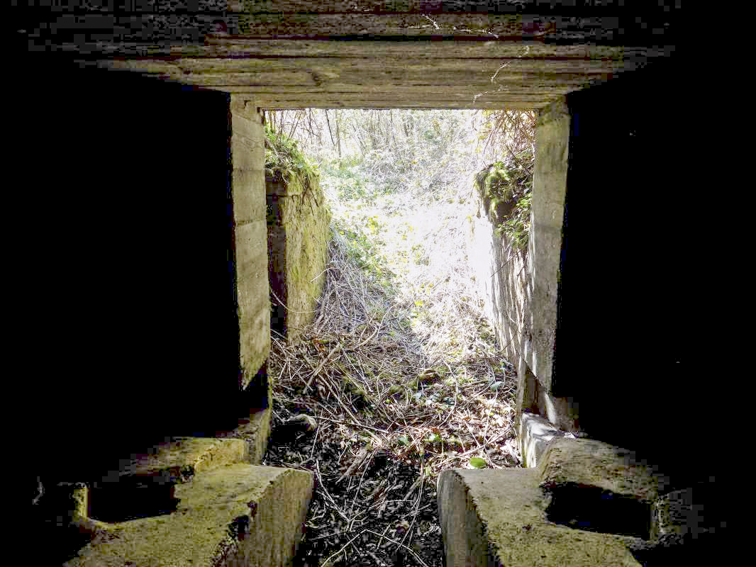 Ligne Maginot - 24A - BOIS DE FLIZE EST - (Blockhaus pour canon) - L'entrée - R Tucker