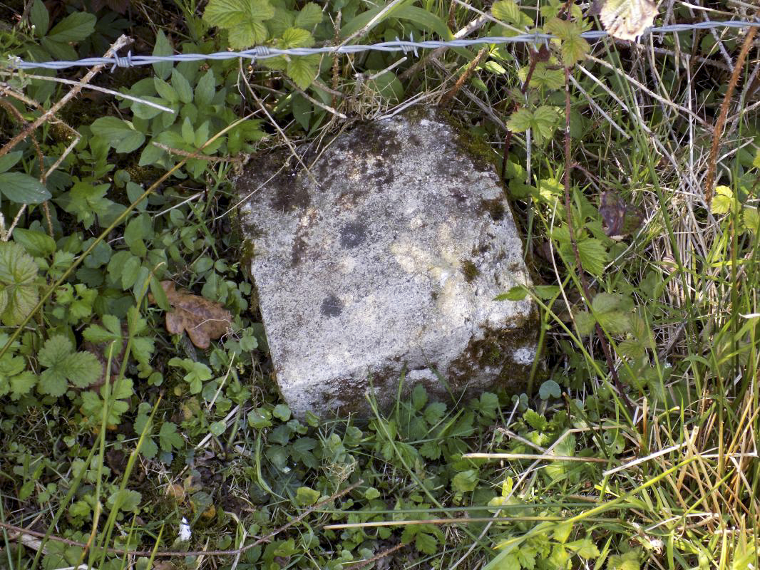 Ligne Maginot - 24A - BOIS DE FLIZE EST - (Blockhaus pour canon) - Borne, face frontale - R Tucker