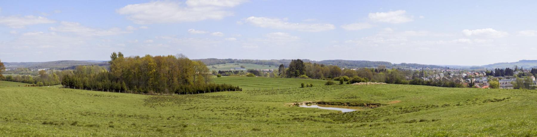 Ligne Maginot - 24A - BOIS DE FLIZE EST - (Blockhaus pour canon) - Vue du nord vers l'est - R Tucker