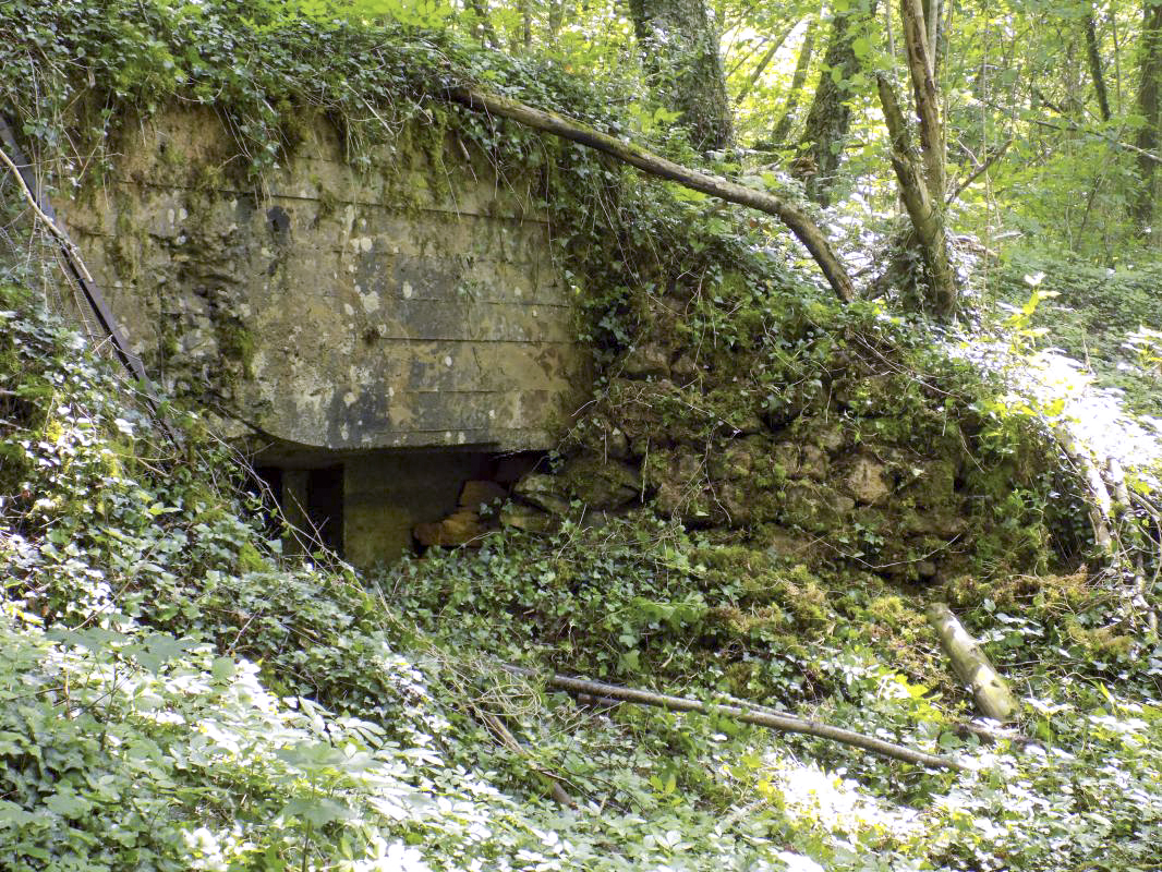 Ligne Maginot - 26A - RIMONNEAU OUEST - (Blockhaus pour canon) - Face frontale gauche, créneau AC - R Tucker