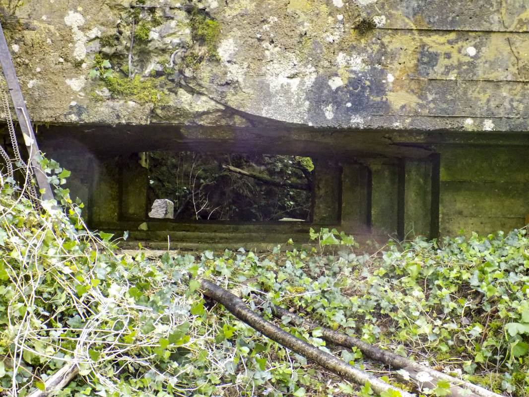 Ligne Maginot - 26A - RIMONNEAU OUEST - (Blockhaus pour canon) - Créneau AC - R Tucker